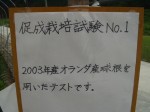 [hin No01 A01 kan.JPG]